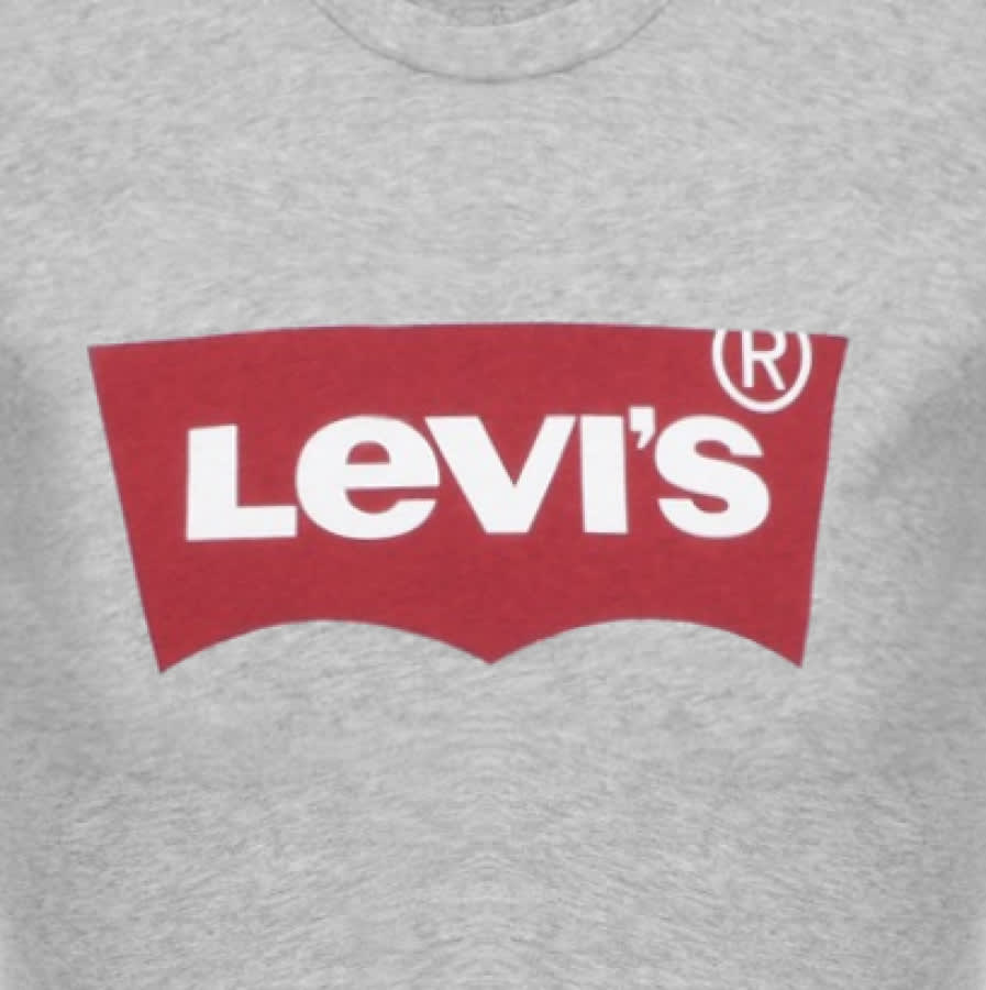 Alternative Image for ProductLevis Logo Crew Neck T Shirt Grey3